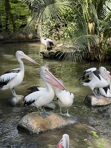 отличная эскурсия. по времени не долго. 6-7 часов