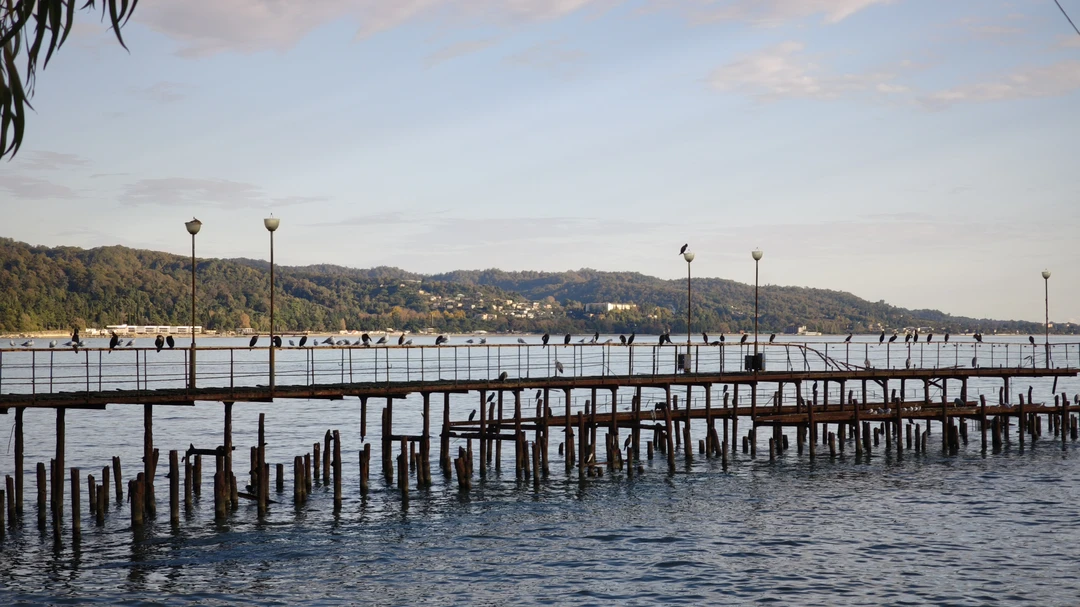 Обязательно сходите на экскурсию с Инной по Сухуму. Вам откроется город совершенно с другой стороны. Город