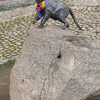 Фото отзыва 2: экскурсия "Замок и улочки средневекового Выборга"