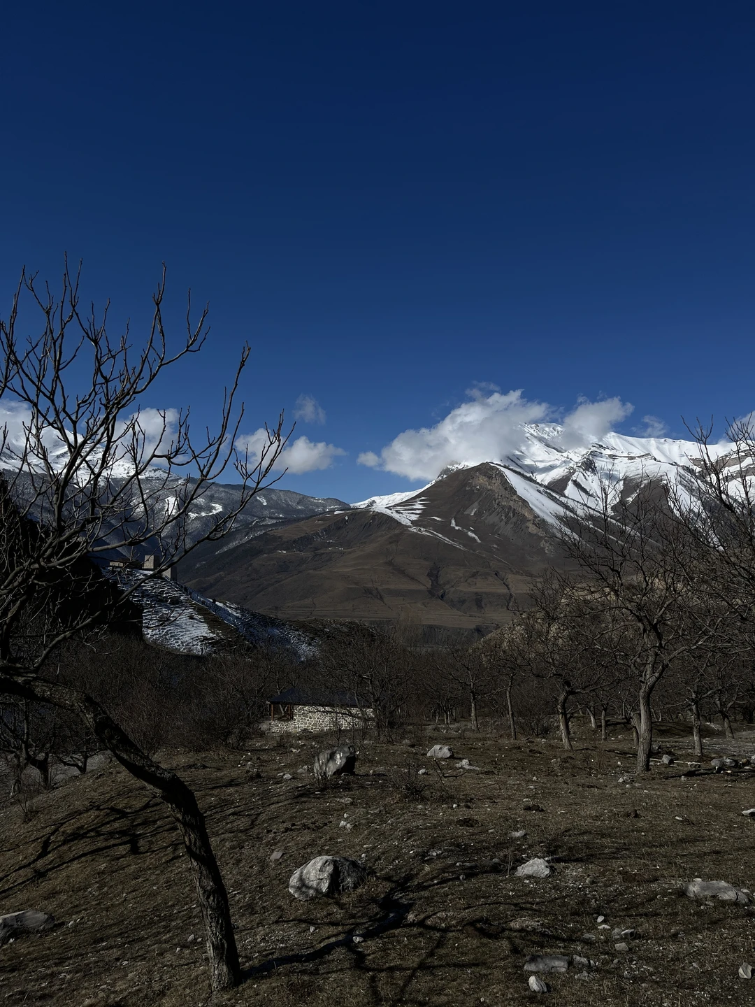 Было просто великолепно!