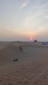 Фото отзыва 2: экскурсия "Сафари в пустыне, ужин, шоу и фото в красном платье (из Дубая)"