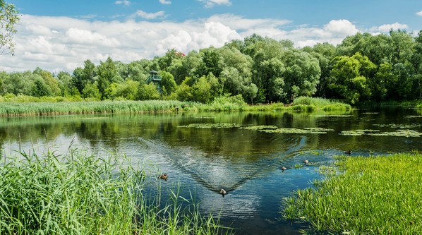Заповедники Москвы и&nbsp;Подмосковья