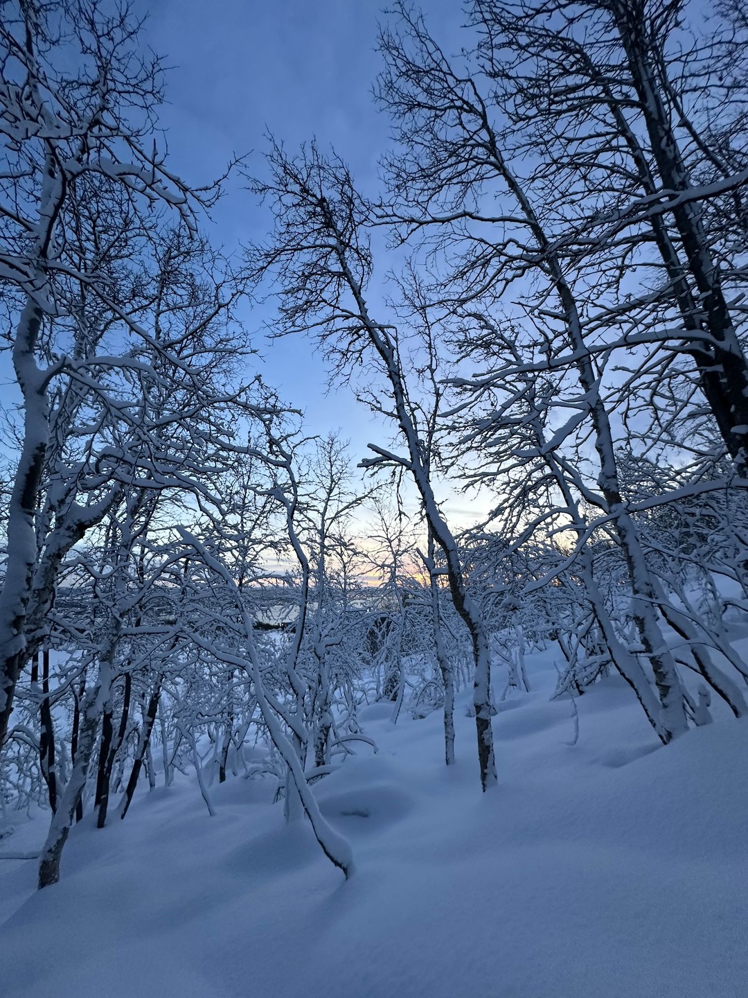 Свидание с Севером на сопке Мишукова (Елизавета)
