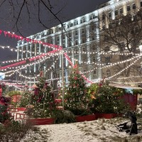 Фото отзыва 1: экскурсия "Новый год в Москве от Петра до наших дней: история праздничного освещения"