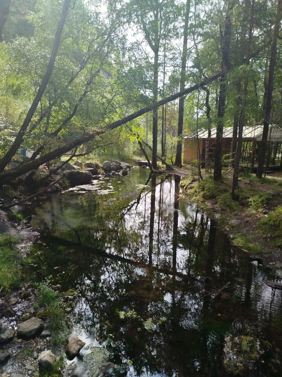 Прекрасное путешествие по красотам в очень комфортном автомобиле с профессиональным гидом