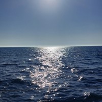 Фото отзыва 2: экскурсия "Морская прогулка из Адлера"