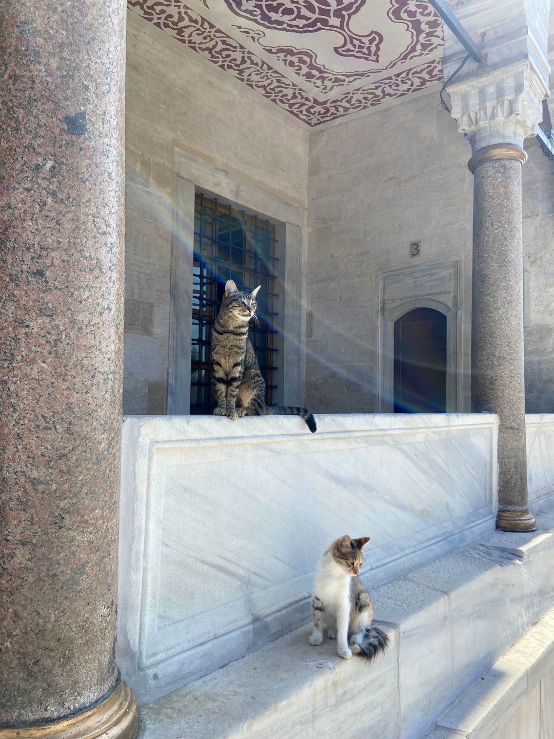 Исторический центр Стамбула (без очередей) (Оксана)