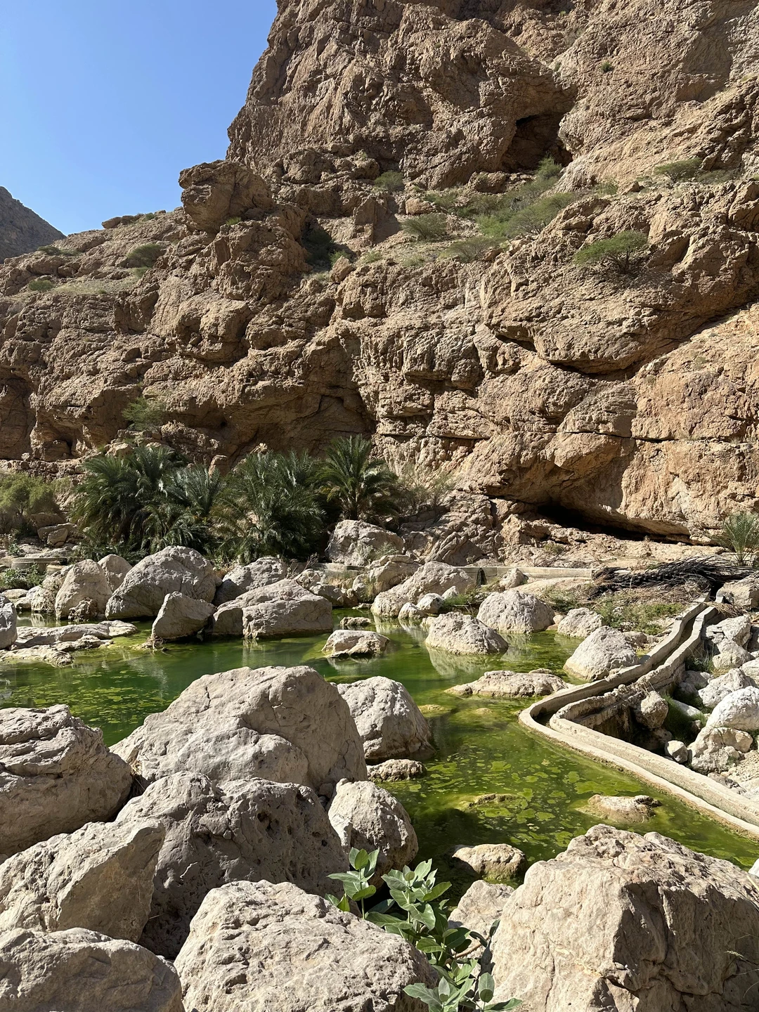 Поездка в сказочный оазис - Вади-Шаб (Zafar)