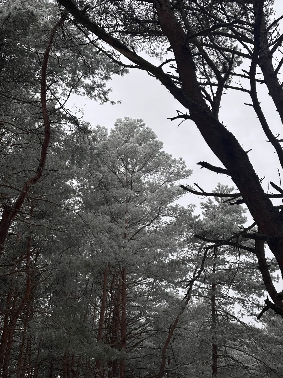 Очень красивая экскурсия 😻 Много интересного! И вкусного))