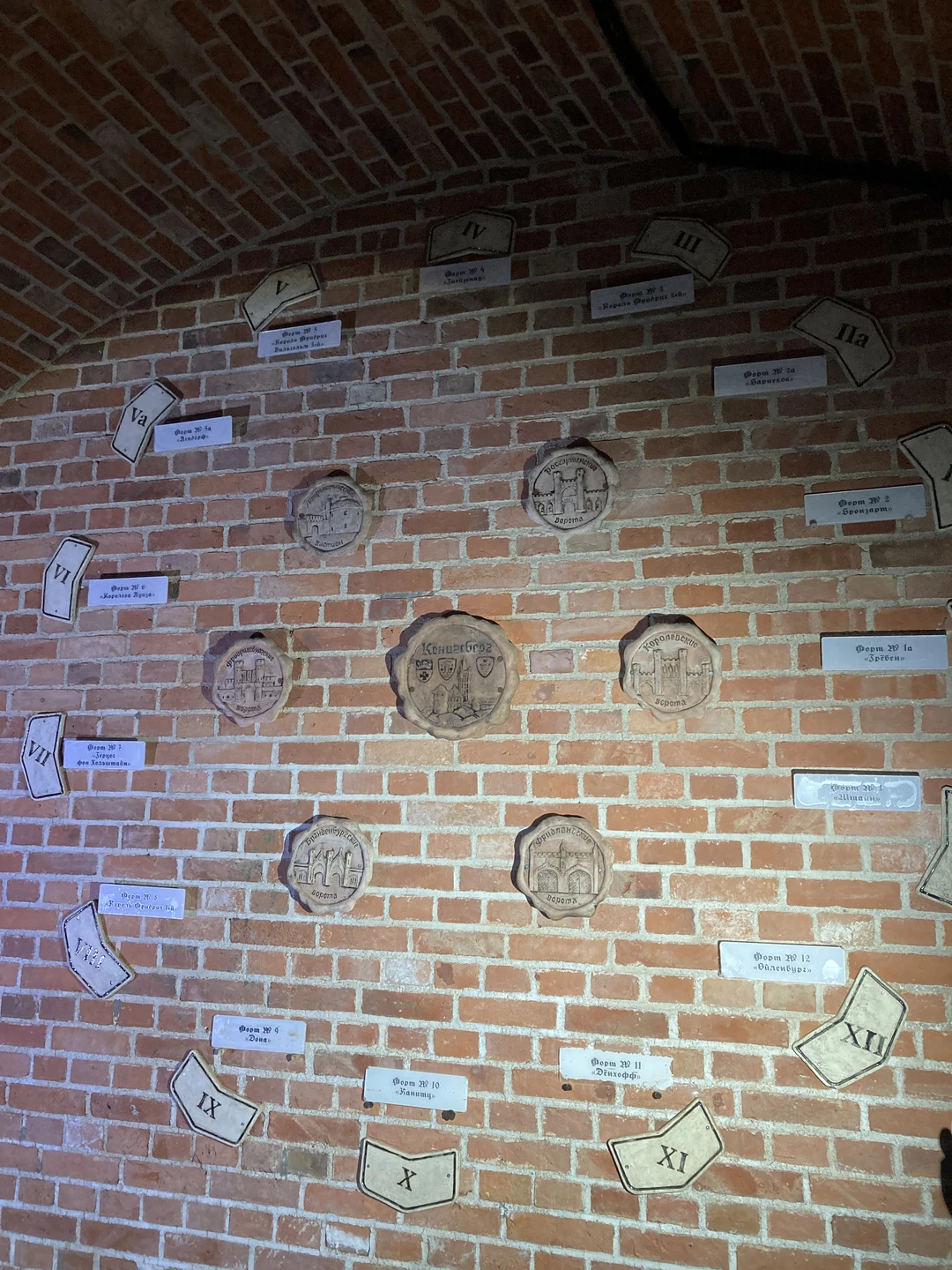 Ночная жизнь форта № 11 «Дёнхофф» (Ольга)