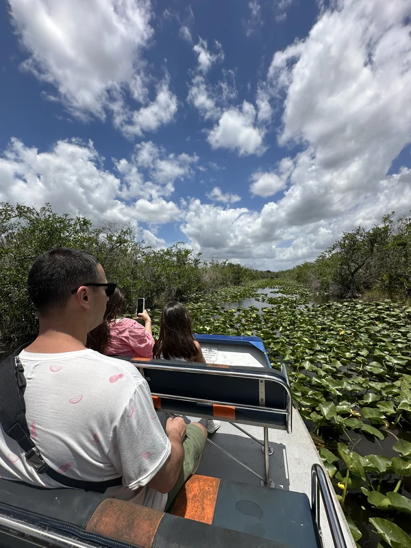 Сафари в Эверглейдс: мир аллигаторов и дикая природа (из Майами)