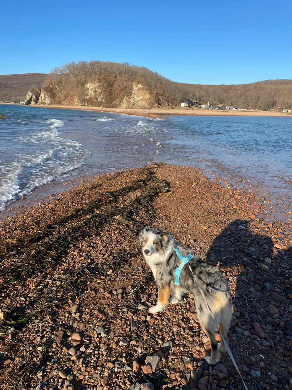 Прекрасное путешествие в компании прекрасного экскурсовода Антона и его четвероногого спутника. Были в ноябре, очень повезло