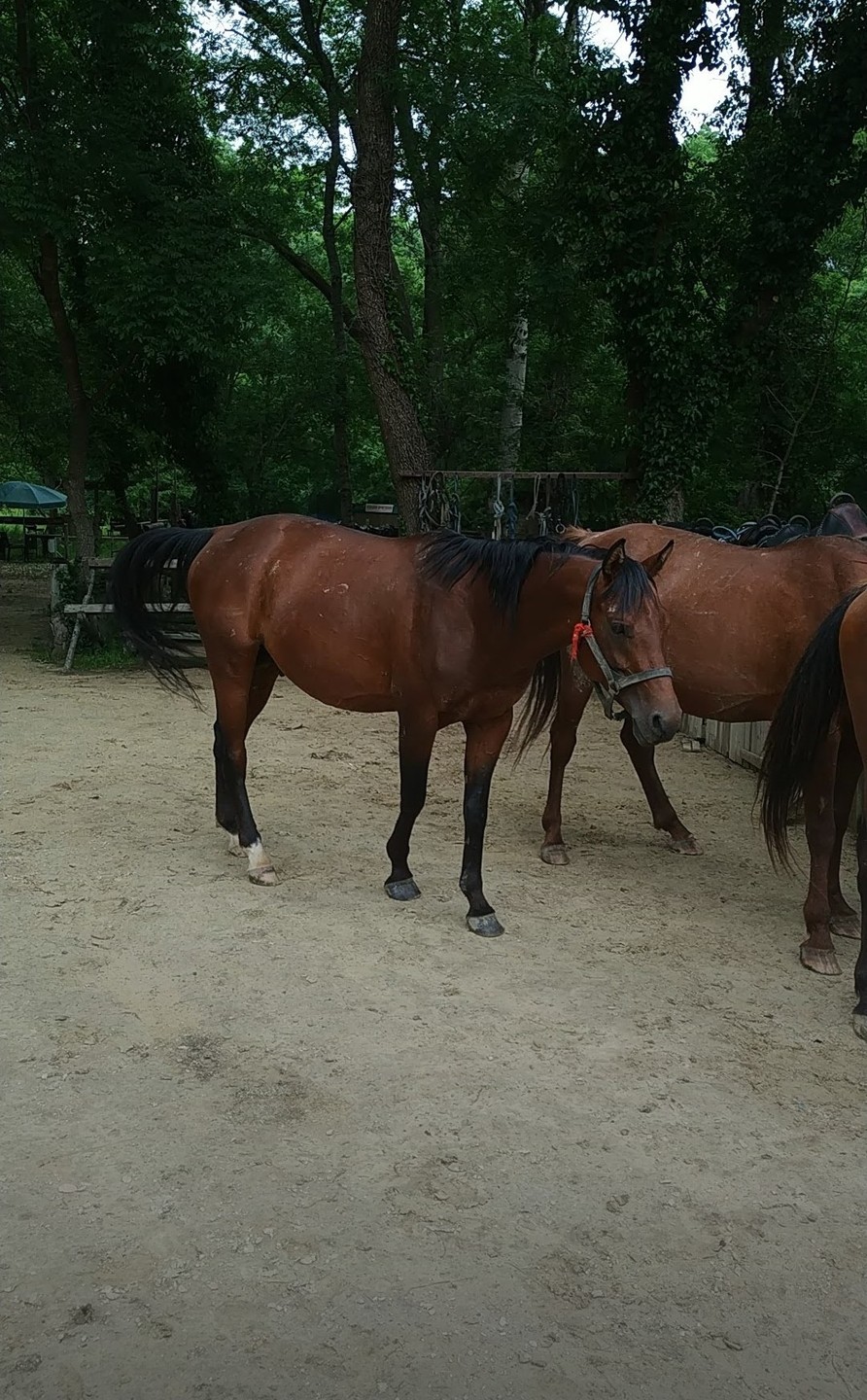 Сегодня ездила на экскурсию по окрестностям Анапы. Действительно красивые виды с высоты. Ездила одна (без пары)