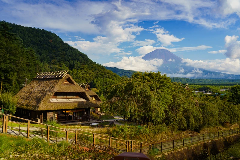 Из Токио - к подножию Фудзисан у озера Кавагучико