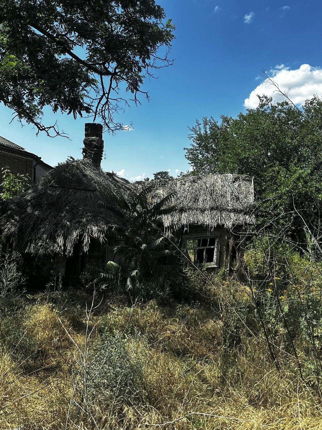 Александр провел прекрасную экскурсию нас с коллегами в единственный выходной в командировке. Человек многосторонне развит, потрясающий