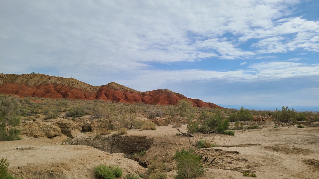 В поездке все было отлично, буквально все понравилось. Благодарю всем в вашей команде - организаторам, гидам, и др.