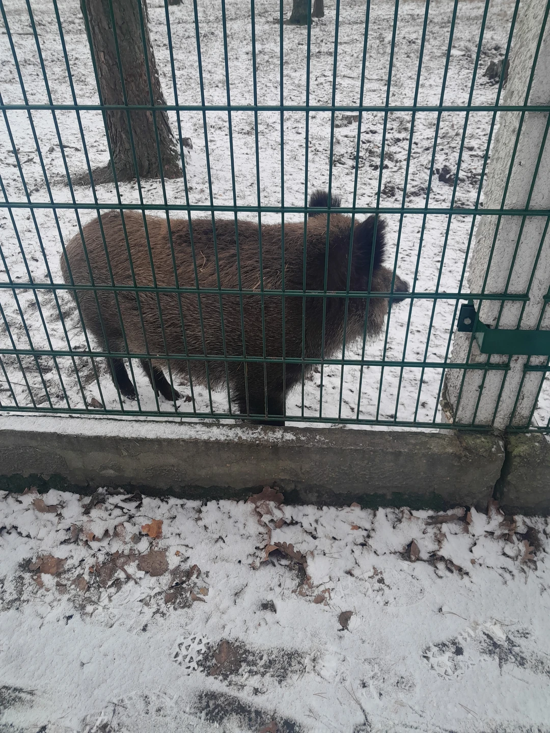 Экскурсия хорошая, весьма познавательная и полезная. Грамотный, хорошо подготовленный экскурсовод, удобный транспорт. Интересно было увидеть животный