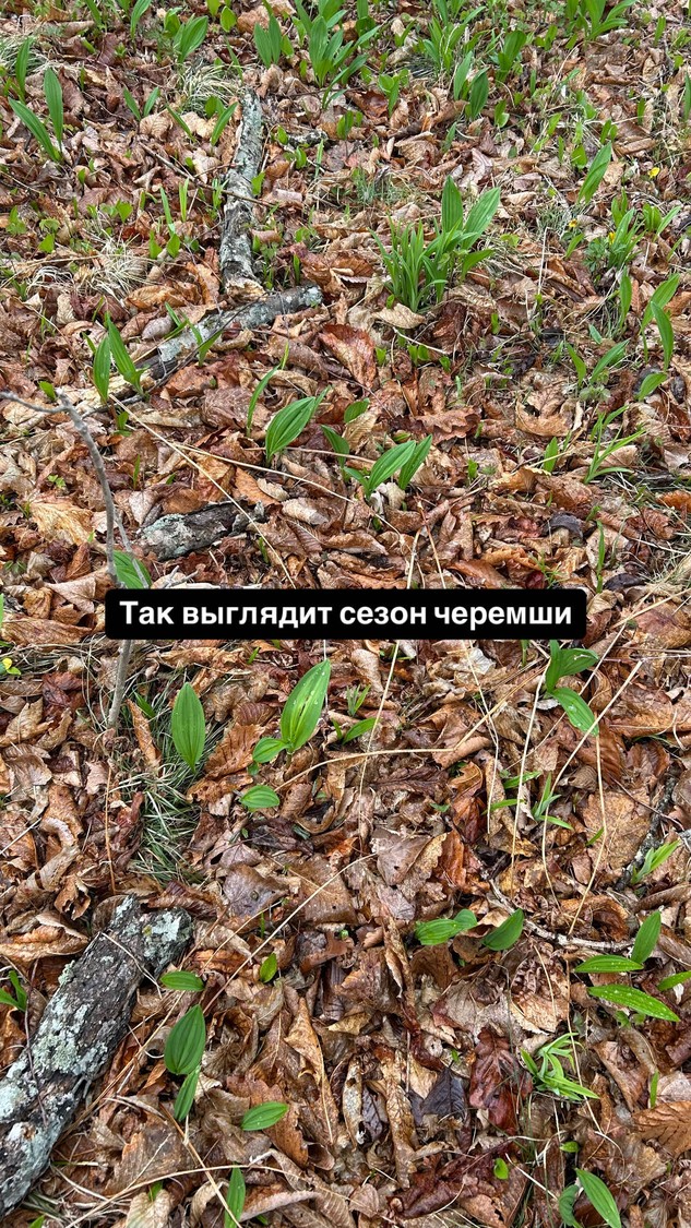 Классно провела время в красивой природе - это то, зачем я взяла эту экскурсию.