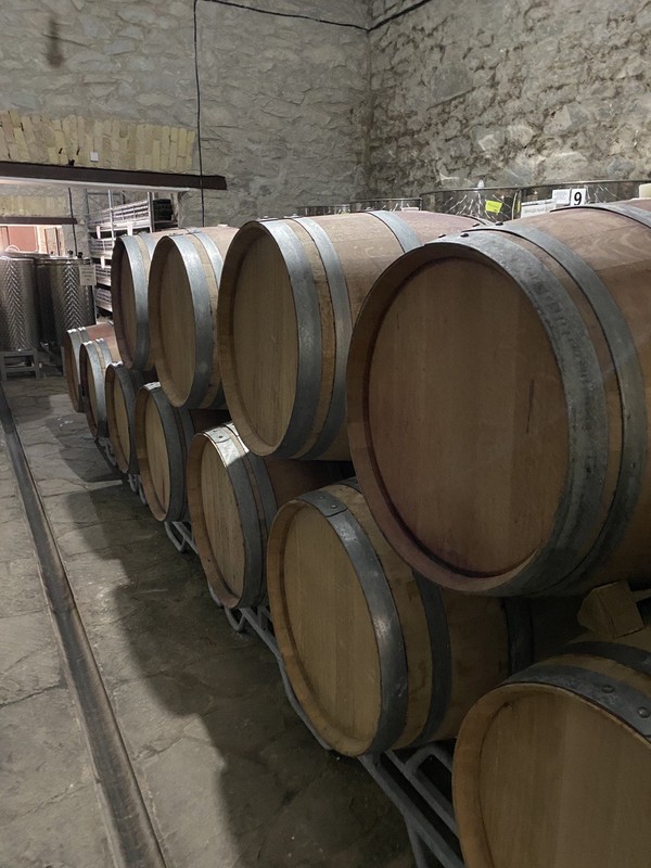 Виды Эногастрономическое путешествие из Железноводска: винодельня и форелевое хозяйство