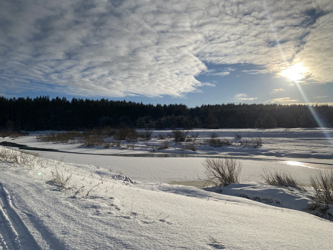 Очень качественно отдохнул. 2,5 дня как полноценный отпуск - прогулки, лыжи, природа, воздух, костёр, приятная компания