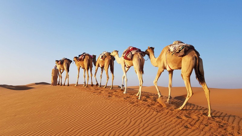 Поездка на джипе по пустыне Вахиба