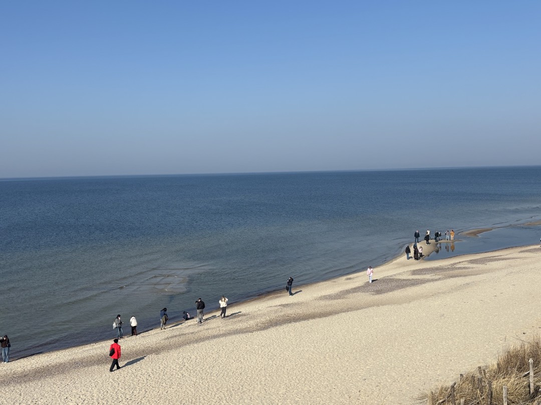 Утренняя Куршская коса, Зеленоградск и замок Нессельбек на автобусе (Оксана)