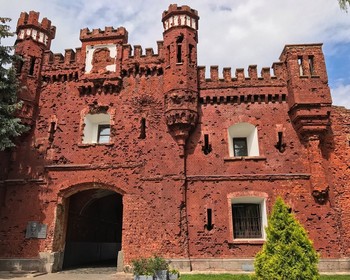 Беловежская пуща и знакомство с Брестом
