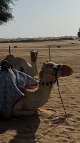 Фото отзыва 2: экскурсия ""