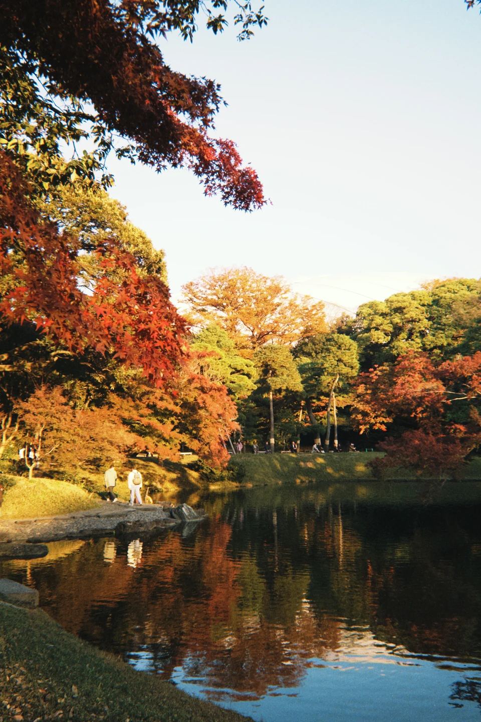Отличный тур, один из ярчайших дней всей поездки