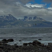 Фото отзыва 2: экскурсия "Треккинг между двумя океанами: залив Бигль во всей красе"