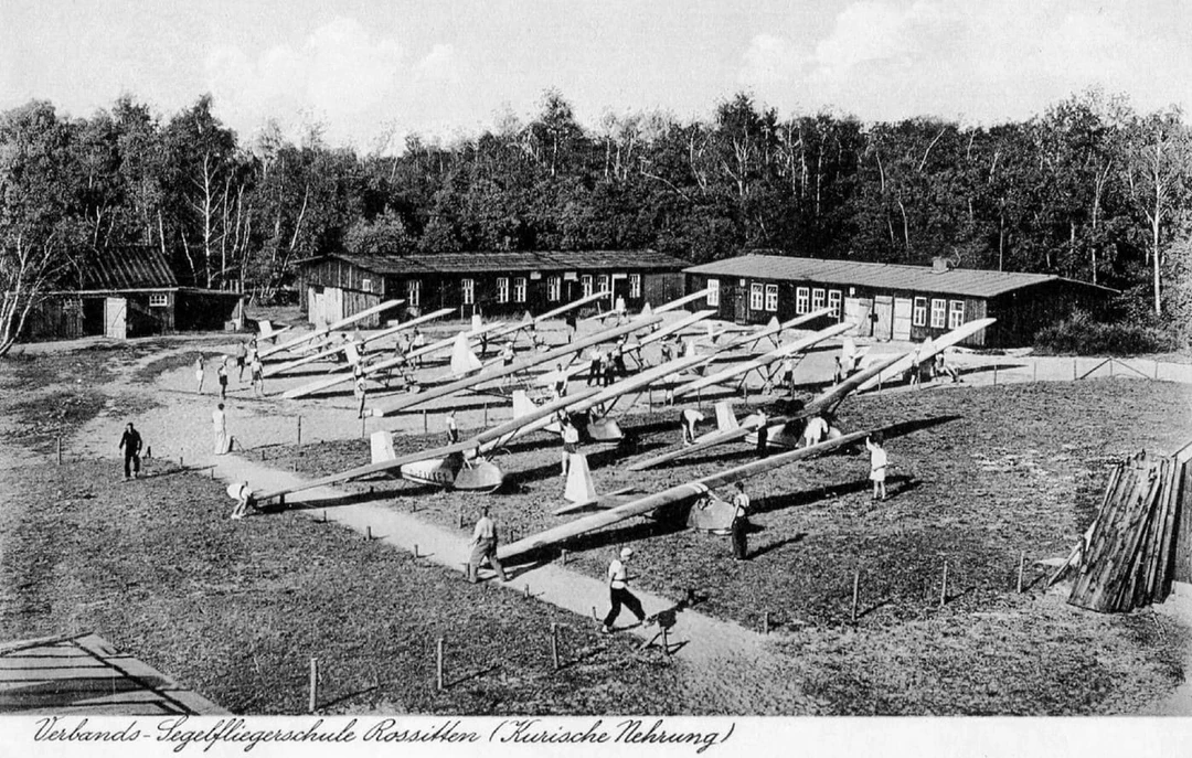 История Танцующего леса