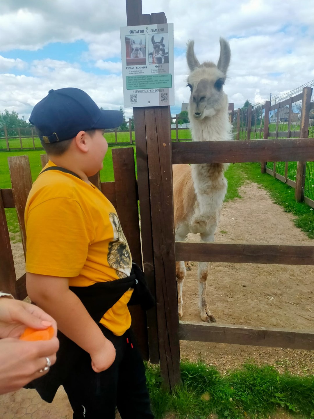 Большое спасибо Марии за экскурсию. Считаю что нам повезло и с экскурсоводом, и с погодой. Ребенок