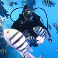 Фото отзыва 2: экскурсия "Дайвинг в Шарм-эль-Шейхе"