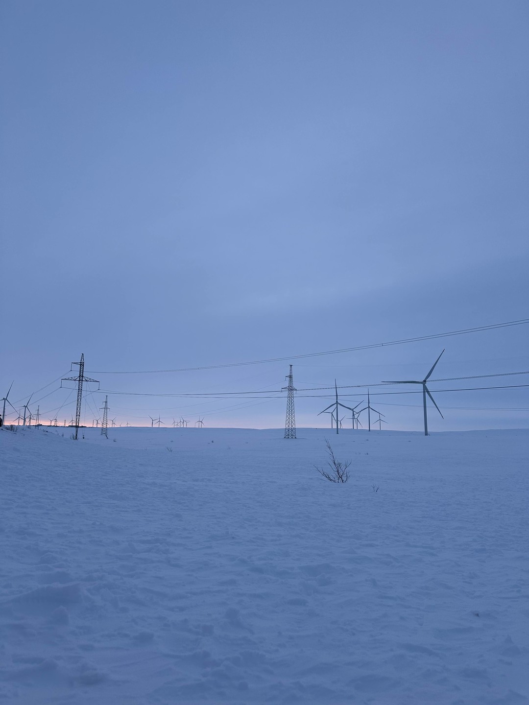 10000/10, мы просто в восторге! была до этого единожды в Териберке, небо и земля, насколько много
