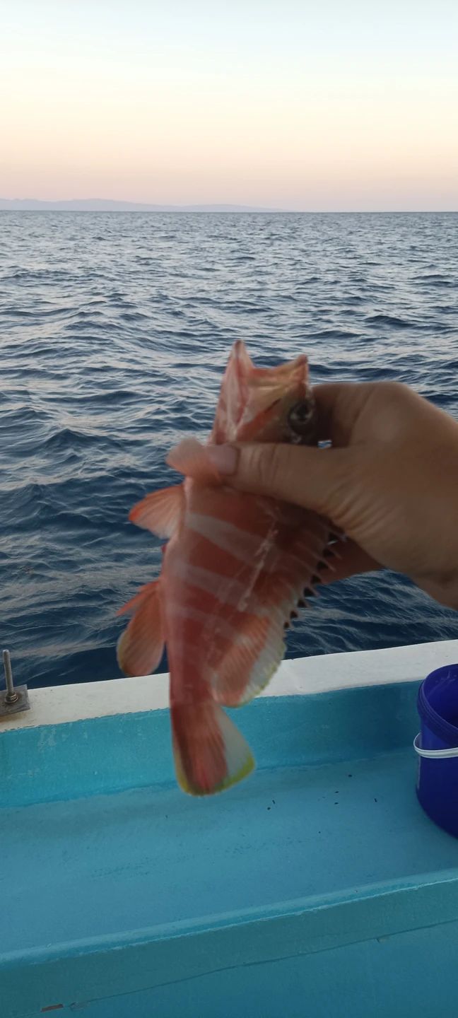 Были на рыбалке с Валидом 15/11/25