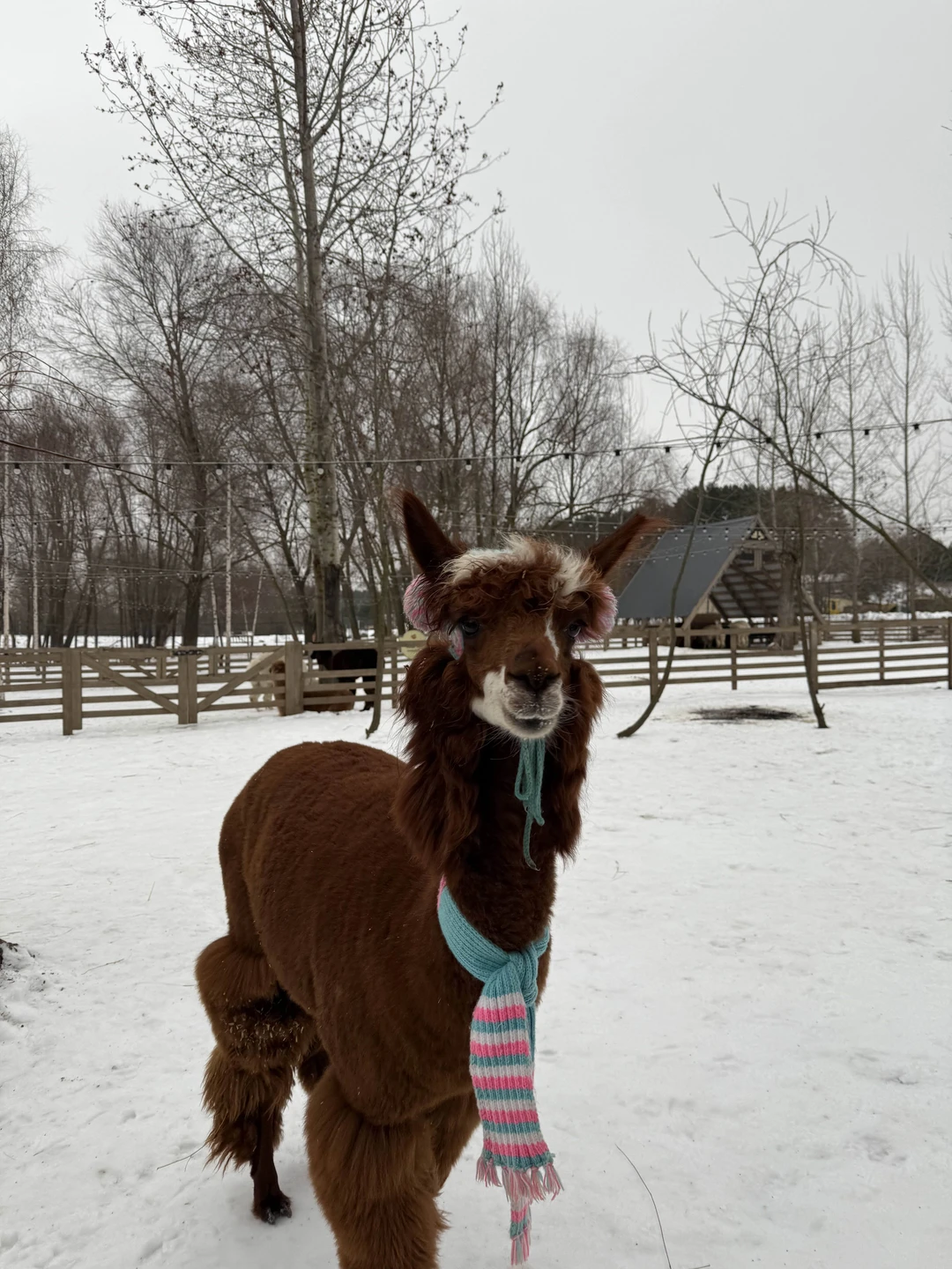 Мы благодарим команду в лице Владислава за прекрасную экскурсию! За интересную и содержательную прогулку по острову!