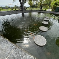 Фото отзыва 2: экскурсия "Путешествие по Восточному Бали"