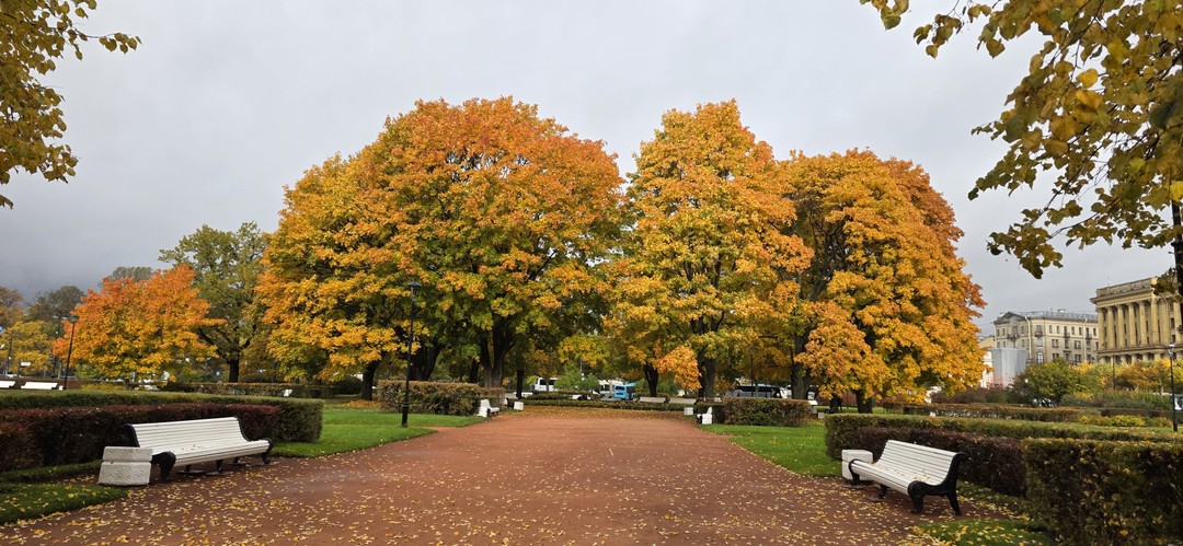 Прекрасная экскурсия, не помешала даже дождливая погода. Интересно было узнать что-то новое про Петроградскую сторону. Спасибо