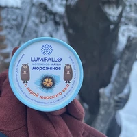 Фото отзыва 1: экскурсия "Погружение в Карелию: из Петрозаводска в Медвежьегорск"