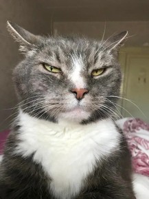 Фото отзыва 1: экскурсия ""