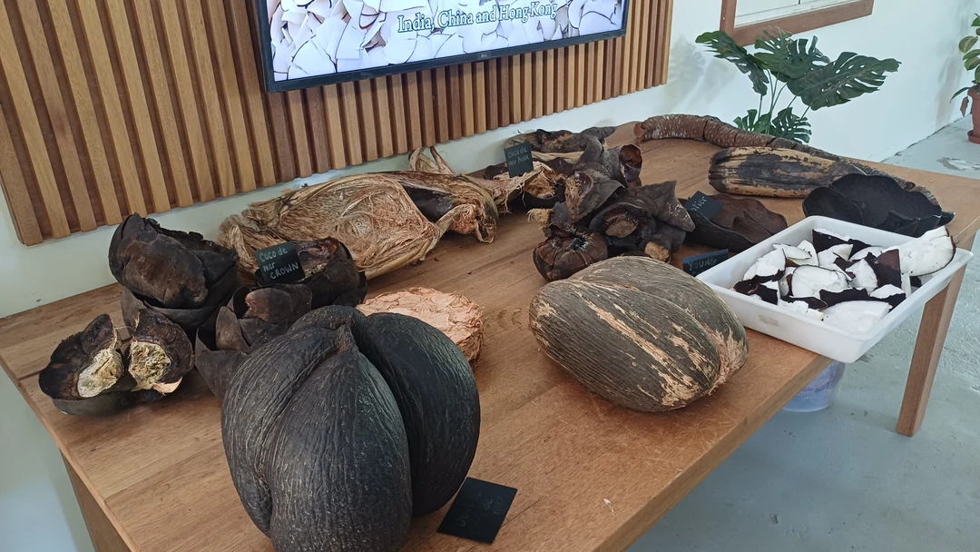 Огромное спасибо Екатерине за позновательную и увлекательную экскурсию. За день мы узнали много интересного о местном