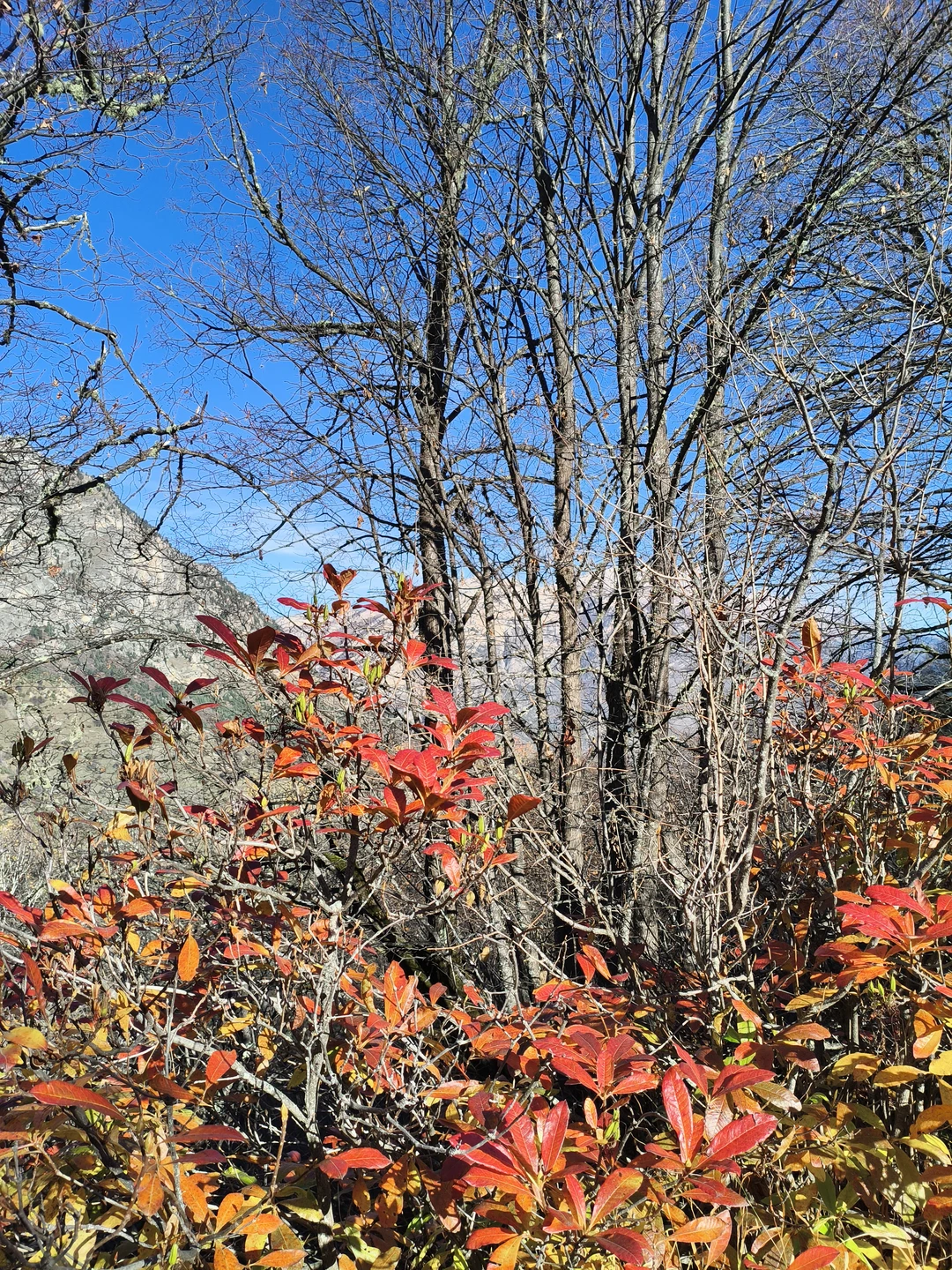 Экскурсия по горной Ингушетии в сопровождении гида Владимира вызвала в нашей душе позитивный отклик и бурю