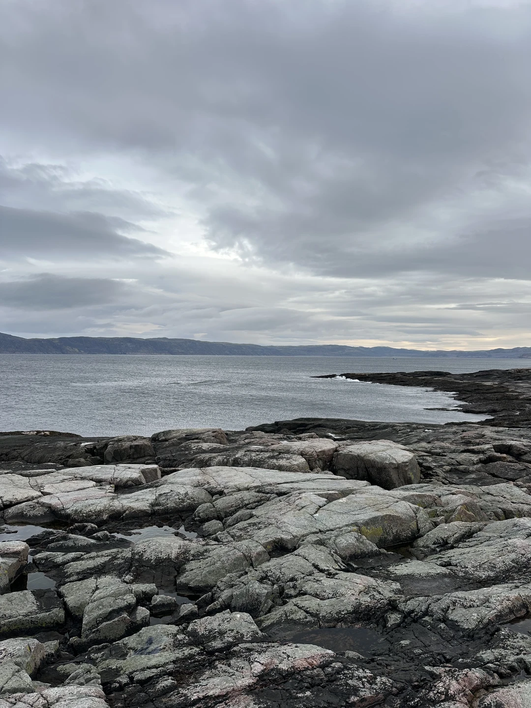 Красоты Териберки и выход в море на поиски китов (Елена)