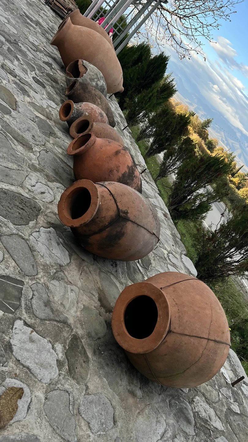 Из Тбилиси - в Кахетию на весь день: вино, храмы и Сигнахи (Ольга)