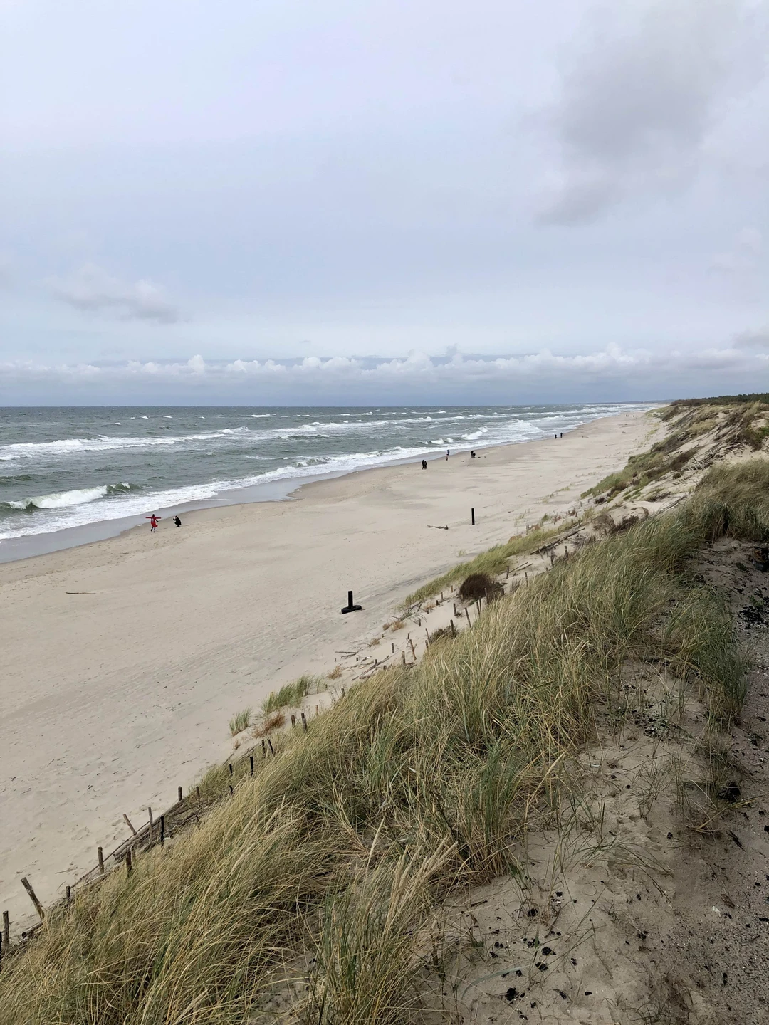 Куршская коса из Зеленоградска (Елена)