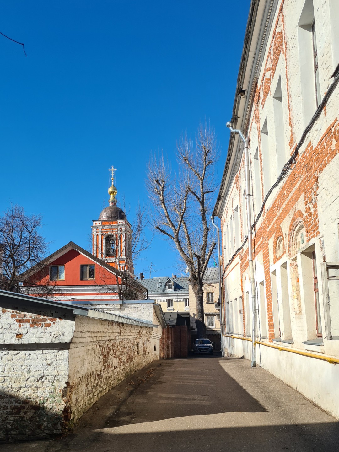Культурно матом: хроники русских ругательств в Москве (18+) (Анастасия)