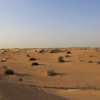 Фото отзыва 2: экскурсия "Индивидуальное сафари по дубайским дюнам"