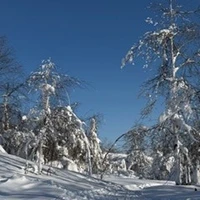 Фото отзыва 2: экскурсия "Путешествие в «каменное сердце» Пермского края"