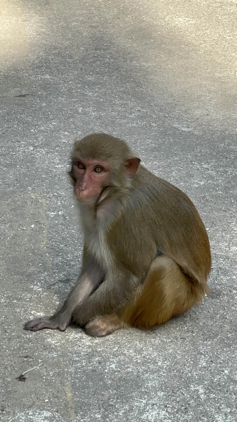 Отличная экскурсия!