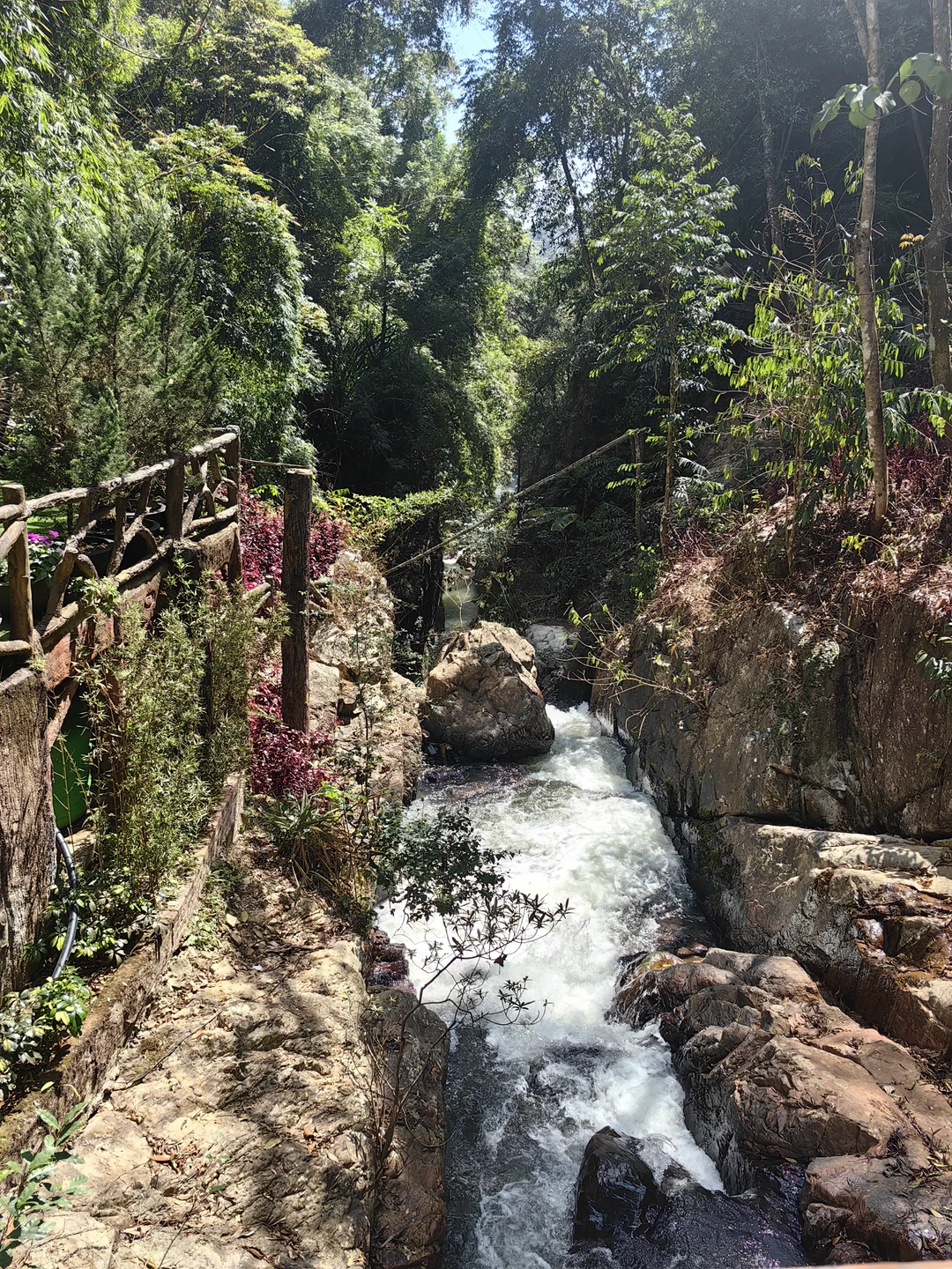 Далат на максимум (из Нячанга) (Наталья)